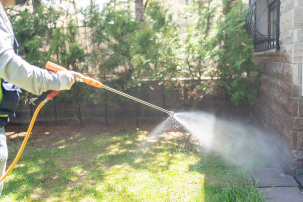 Best Mosquito Control Services  in Oberlin, LA